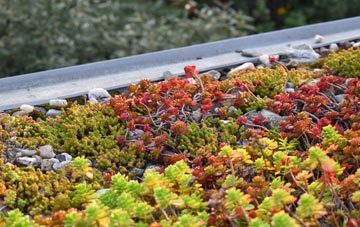the cost of Melbury Bubb green roof installation