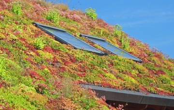 Melbury Bubb living roof systems