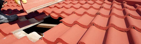 compare Melbury Bubb roof repair quotes