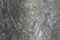 Melbury Bubb fibreglass roof work